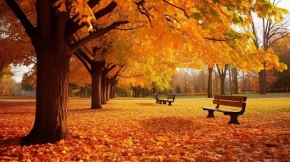 herbst.jpg